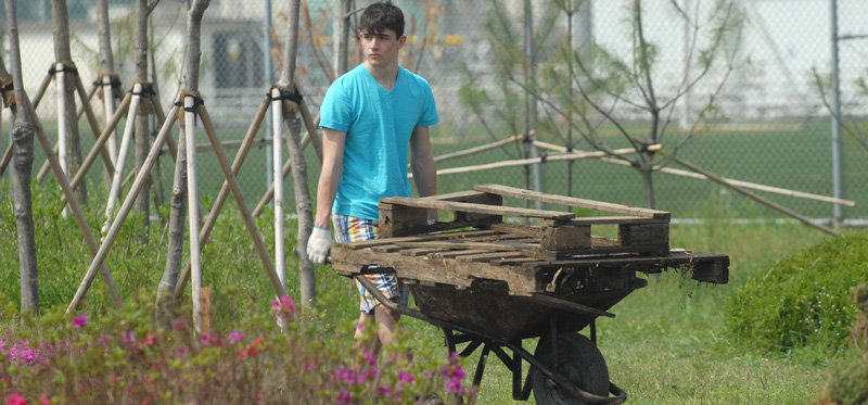 Scout service projects