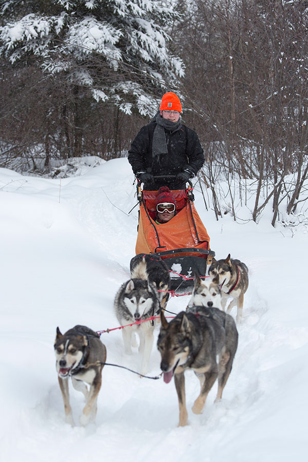 NorthernTier_SledDog