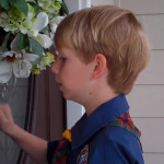 do-you-want-to-buy-some-popcorn