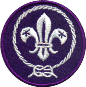 world-crest-patch