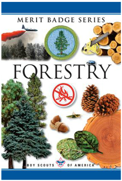 Forestry-merit-badge-pamphlet
