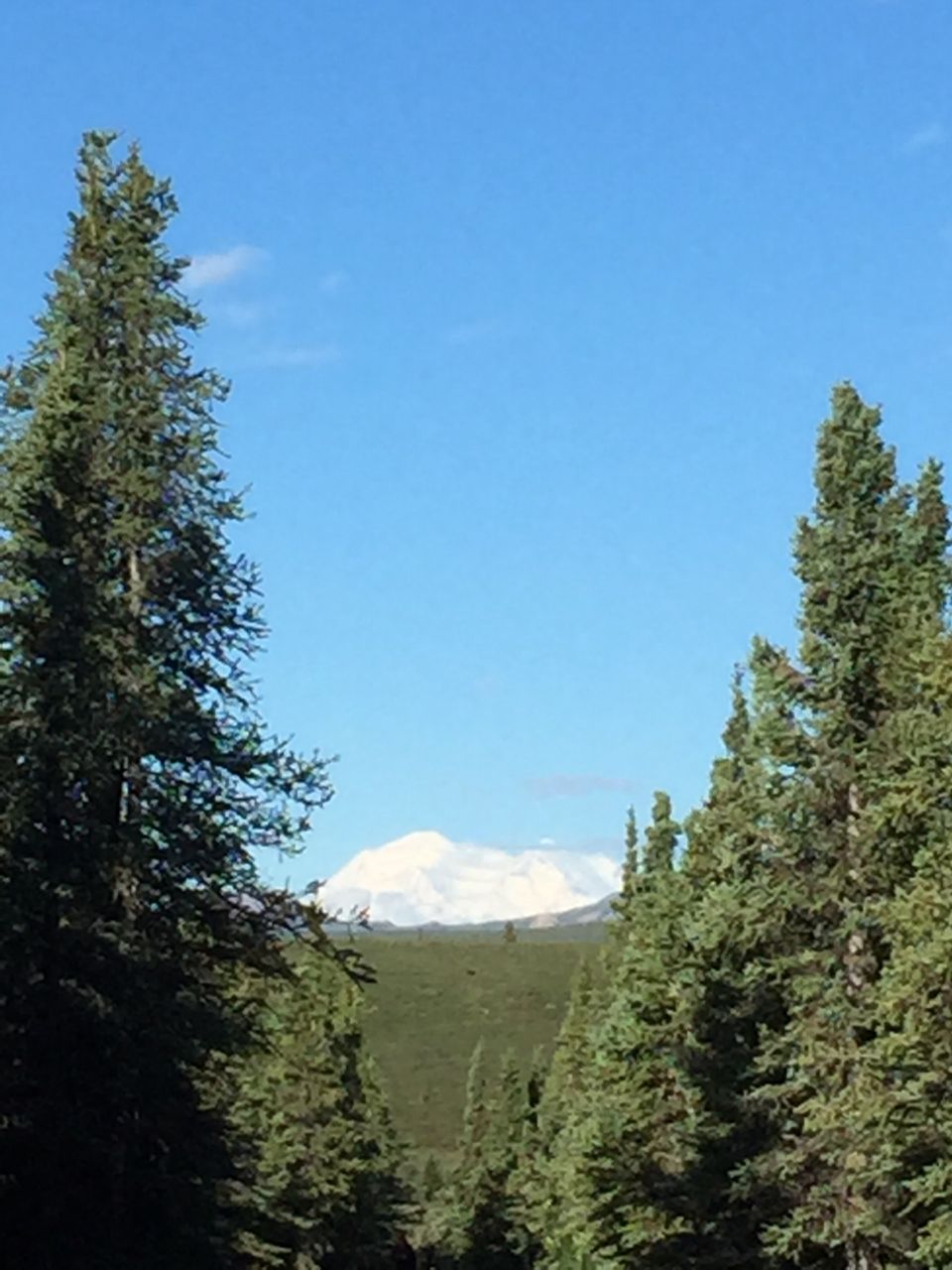 Day 10 Mt. McKinley revealed_s