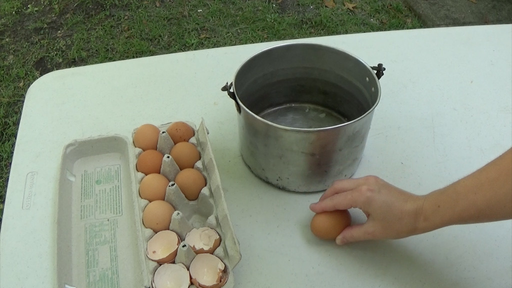egg-hack-1