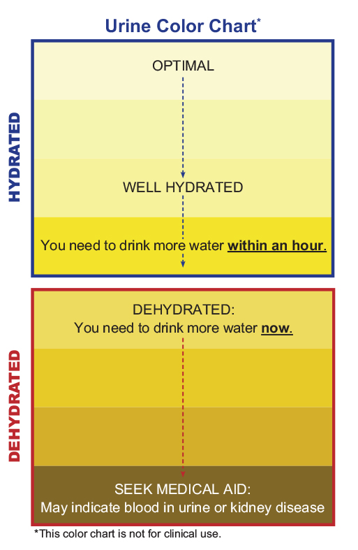 Dehydration Urine Color Chart Infographic Health Nutrition Chart: A ...