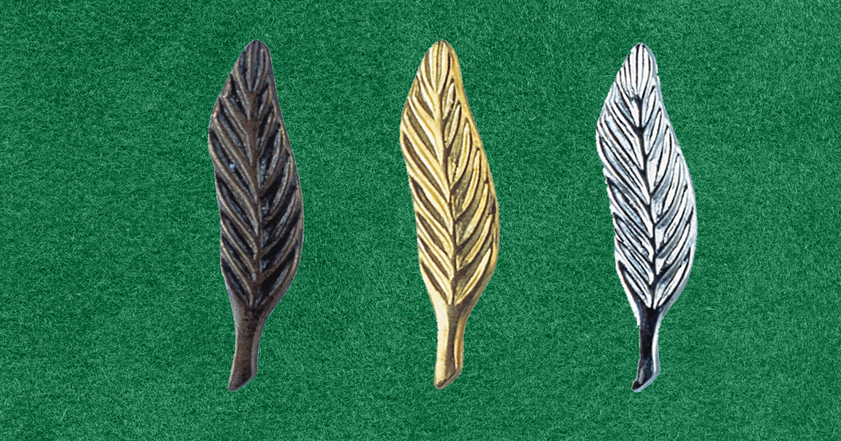 The way Scouts earn Eagle Palms is about to change