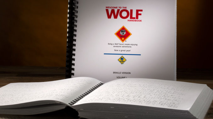 The cover of the two-volume Braille edition of the Wolf Handbook.