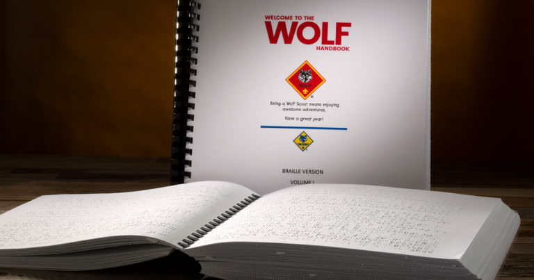 The cover of the two-volume Braille edition of the Wolf Handbook.