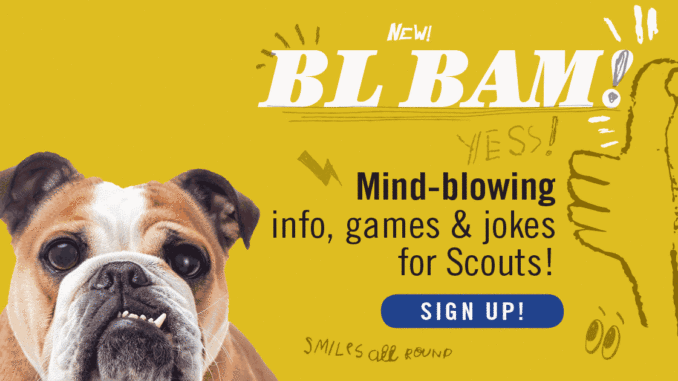 BL-BAM-newsletter