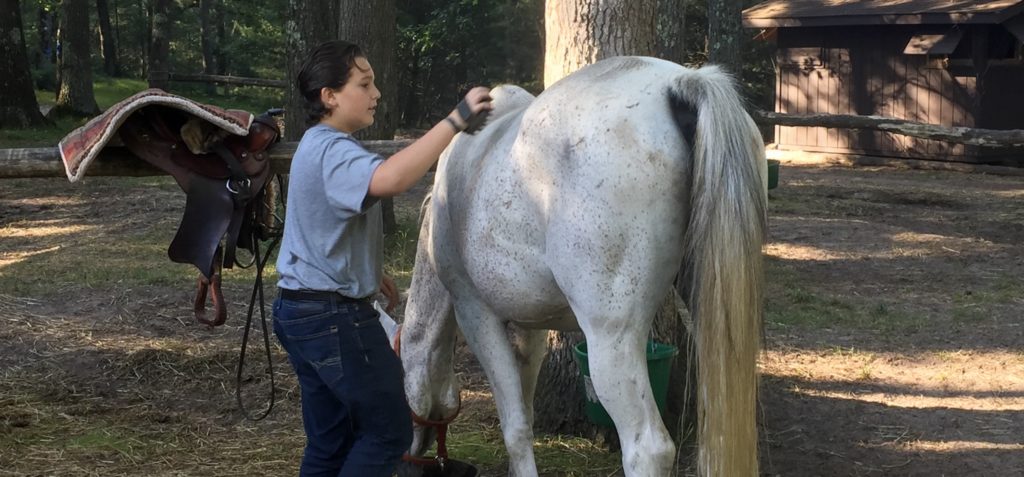Richard grooming horse