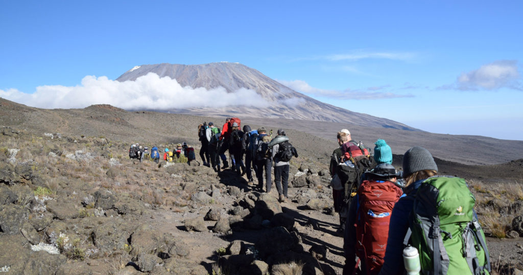 Hiking Kilimanjaro