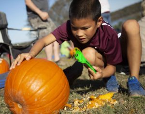 Great pumpkin carving