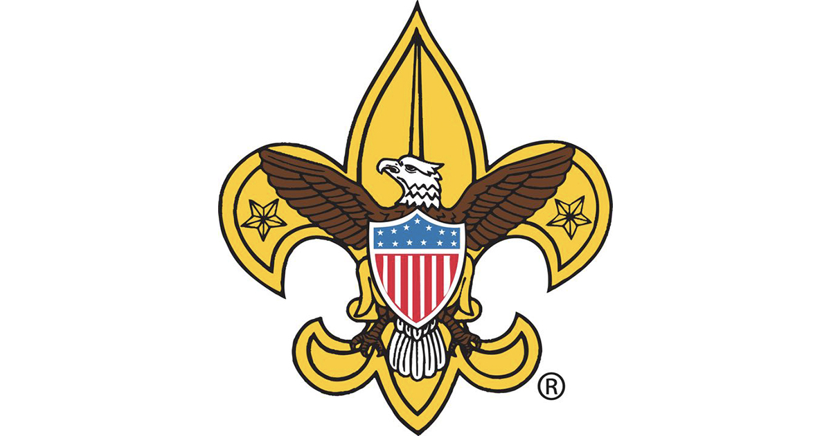 Scouts Can Apply Now For The 2023 24 National Youth Council 9964