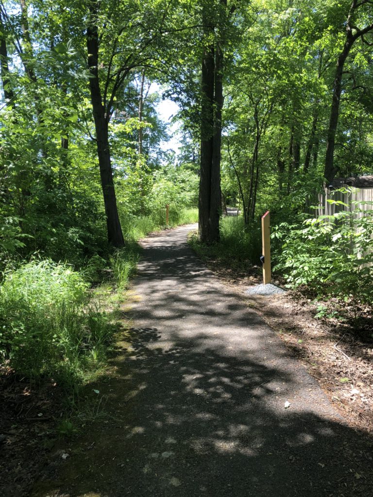 A path in the woods.