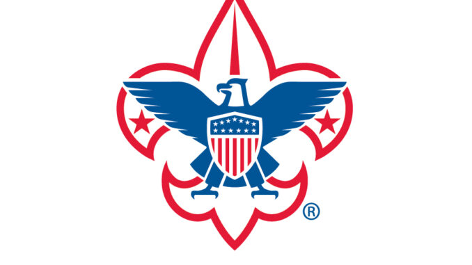 BSA logo