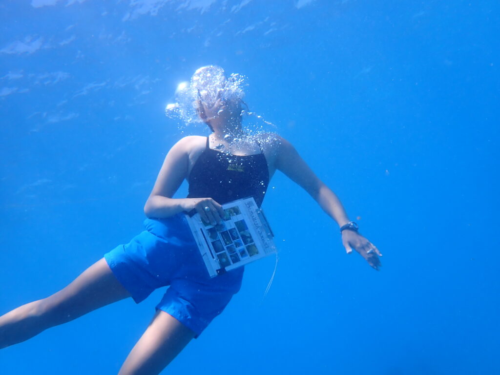 Snorkler holding fish ID card