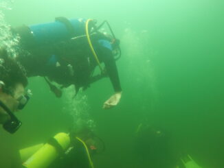 A group of scuba divers and their instructor