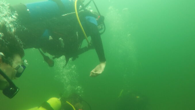 A group of scuba divers and their instructor