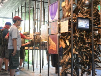 Scouts explore the Sustainability Treehouse
