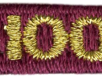 100-year veteran unit bar