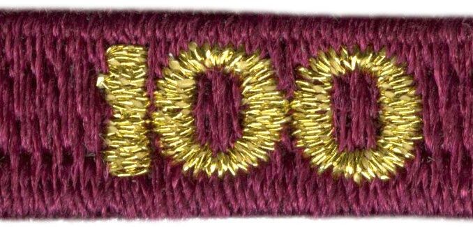 100-year veteran unit bar