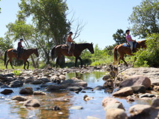 Riding horses at Philmont