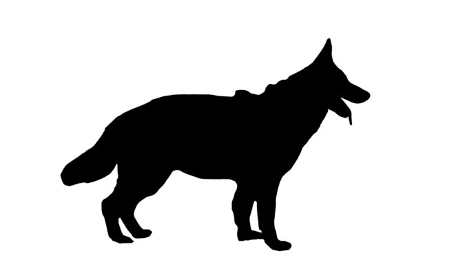 Illustration of a K-9 police dog