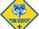 The official blue and gold Cub Scout logo