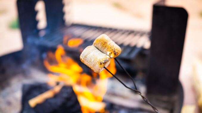 S'mores being roasted over a campfire