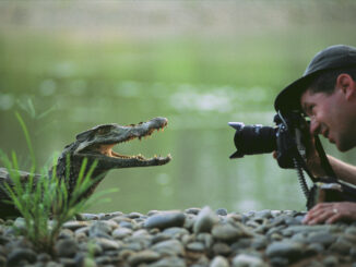 An image of photographer Joel Sartore