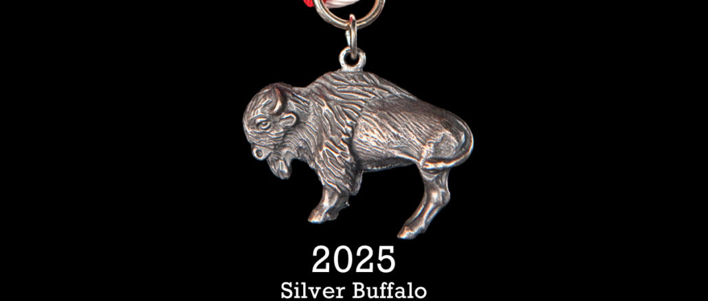 An image of the Silver Buffalo medal