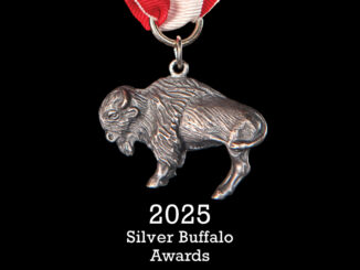 An image of the Silver Buffalo medal