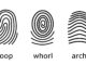 An image of three fingerprint types on white background
